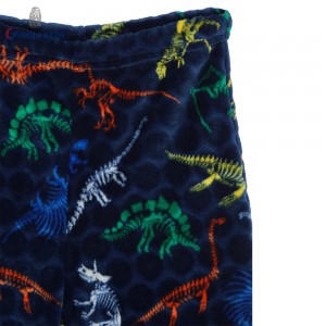 New Christmas Wear Winter Warm Cartoon Kids Pajamas Fleece Dinosaur Print Pure Polyester Long Sleeve Pajamas Sets GT20211108-3